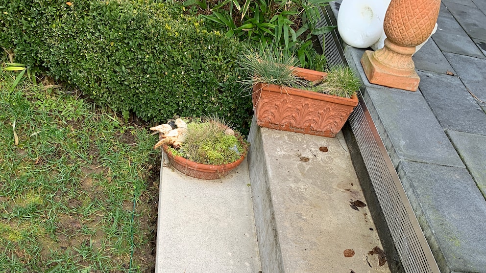 Stufen im Garten selber bauen – Anleitung Schritt für Schritt