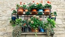 Wie man Blumenkästen und Blumentöpfe auf dem Balkon sichern kann