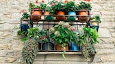 Wie man Blumenkästen und Blumentöpfe auf dem Balkon sichern kann