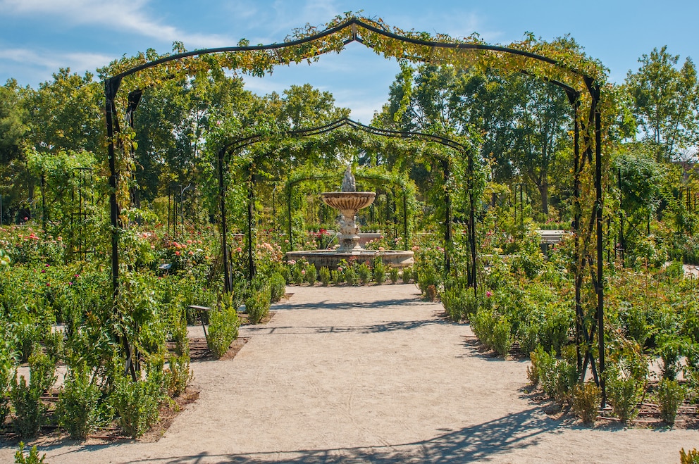 Ein Rosengarten sieht schön aus und sorgt auch für einen angenehmen Geruch