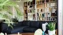 Putz-Challenge: Heute putzen wir das Bücherregal und entstauben Bücher