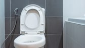 Putz-Challenge: Heute reinigen wir den Toilettensitz