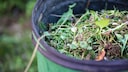 Unkraut lässt sich meistens noch in der Biotonne entsorgen, bei größeren Mengen an Gartenabfällen sollte man auf andere Möglichkeiten ausweichen