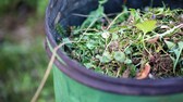 Unkraut lässt sich meistens noch in der Biotonne entsorgen, bei größeren Mengen an Gartenabfällen sollte man auf andere Möglichkeiten ausweichen