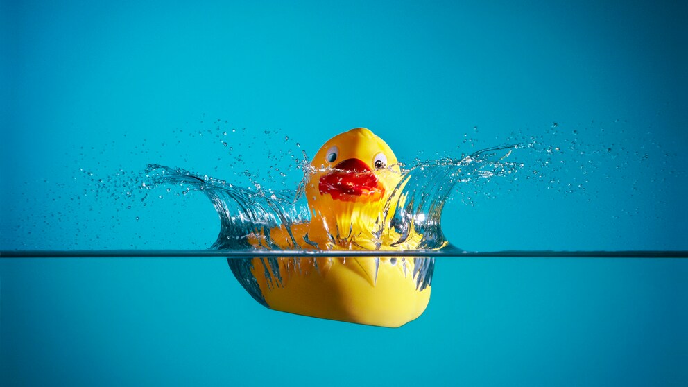 Eine Gummiente liebt das Wasser, muss aber regelmäßig gereinigt werden