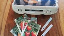 Ein Mini-Gewächshaus im Eierkarton ist ideal, um Tomatenpflanzen vorzuziehen