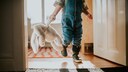 Kuscheltiere reinigen und von Hausstaubmilben befreien – hygienische Methoden