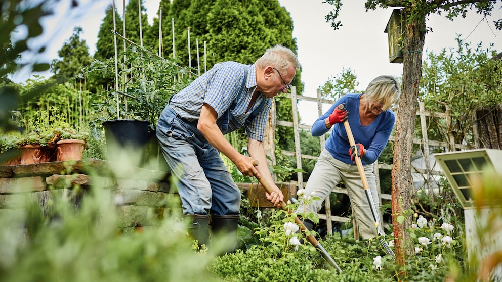 Tipps für einen klimaresistenten Garten