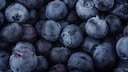 Blaubeeren im Garten pflanzen, pflegen und ernten