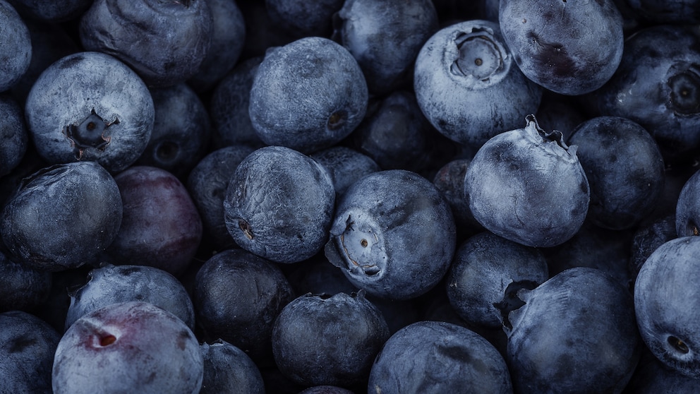 Blaubeeren im Garten pflanzen, pflegen und ernten