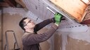 Haften Handwerker bei einem erkennbaren Schädlingsbefall?