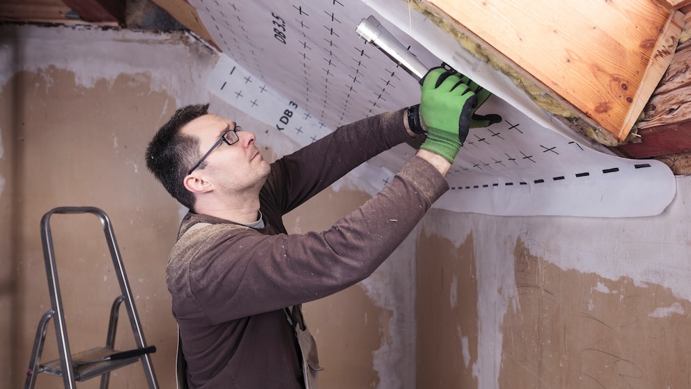 Haften Handwerker bei einem erkennbaren Schädlingsbefall?