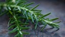Rosmarin im Garten und auf dem Balkon anpflanzen und vermehren