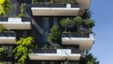 Welche B&auml;ume eignen sich f&uuml;r den Balkon?