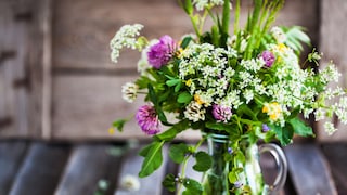 DIY-Blumenstrauß aus dem eigenen Beet binden
