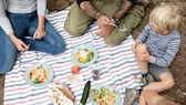 Eine Familie sitzt auf einer Wiese beim Picknick