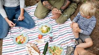 Eine Familie sitzt auf einer Wiese beim Picknick
