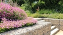 Gabionen im Garten bauen: Planung, Material, Kosten