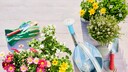 MIt wenig Geld und kleinem Budget den Garten gestalten