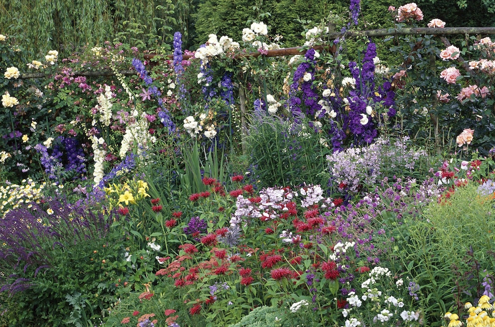 Viele bunte Blumen begleiten Rosen im Beet