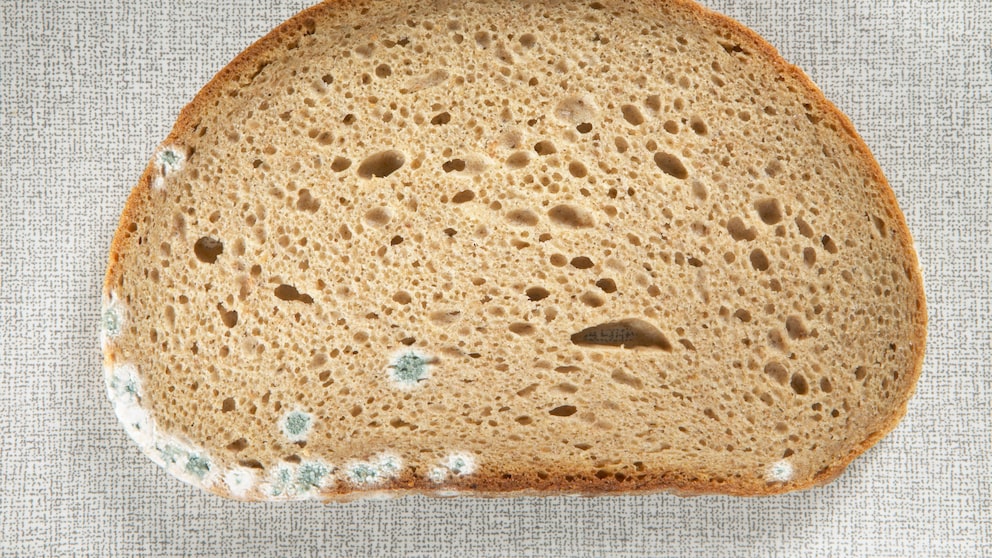 Tipps, mit denen Brot vom Bäcker länger haltbar bleibt und langsamer schimmelt