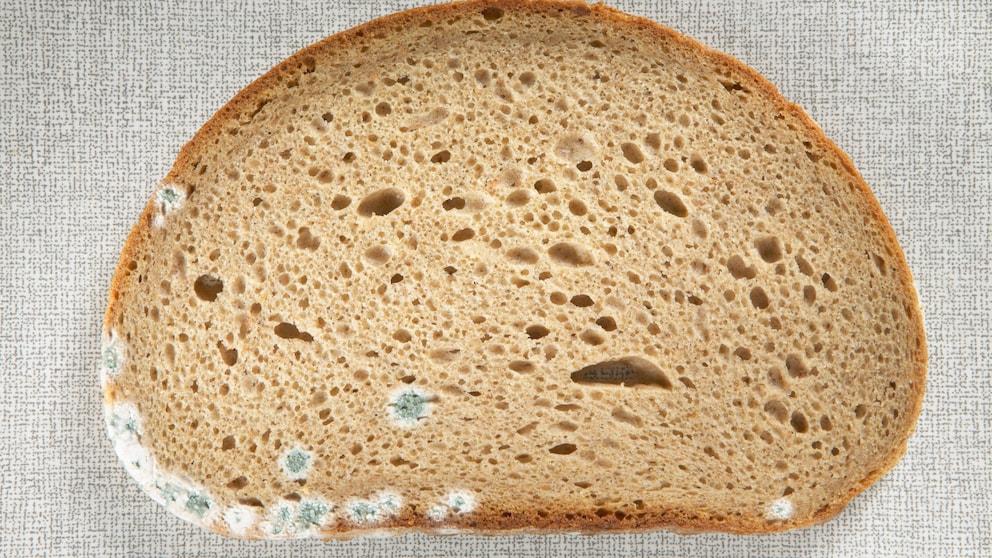 Tipps, mit denen Brot vom Bäcker länger haltbar bleibt und langsamer schimmelt