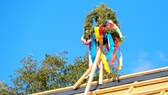 Ein Baum auf dem Hausdach beim Richtfest