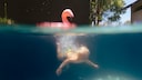 Wie kriegt man trübes Wasser im Pool wieder klar?