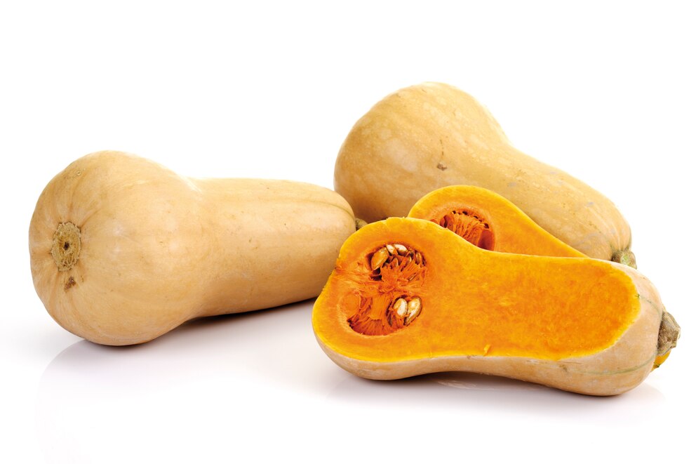 Butternut Butternuss Kürbis