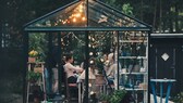 Wintergarten einrichten – das Outdoor-Wohnzimmer im Garten