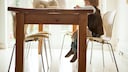 Tisch wackelt – was kann man tun?