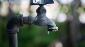 Wasserhahn im Garten