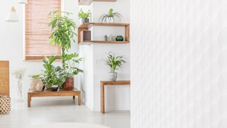 Regal-Modelle für jeden Raum