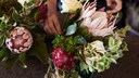 DIe besten Online-Bestellservices für Blumen