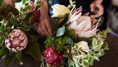 DIe besten Online-Bestellservices für Blumen