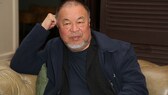 Ai Weiwei Kunstwerk mit Hornbach