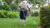 Biozide im Garten versprühen