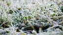 Frost hilft dem Boden im Garten