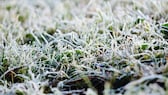 Frost hilft dem Boden im Garten