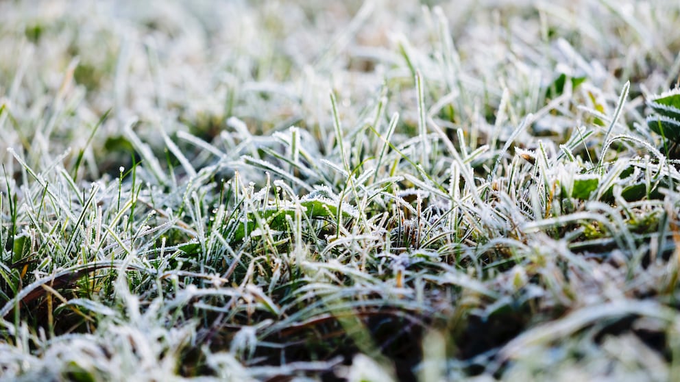 Frost hilft dem Boden im Garten