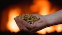 Holzpellets Qualität: Eine Hand voller Pellets, im Hintergrund lodern Flammen