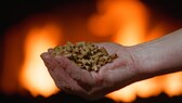 Holzpellets Qualität: Eine Hand voller Pellets, im Hintergrund lodern Flammen