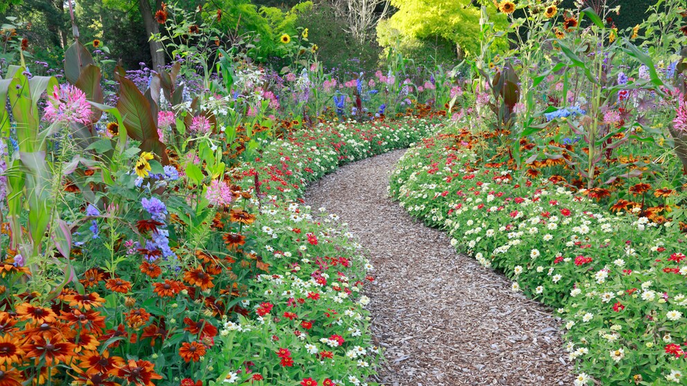 Ein Bauerngarten wird üblicherwiese durch einen Mittelweg oder Wegkreuz geteilt