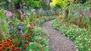 Ein Bauerngarten wird üblicherwiese durch einen Mittelweg oder Wegkreuz geteilt
