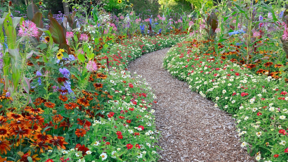 Ein Bauerngarten wird üblicherwiese durch einen Mittelweg oder Wegkreuz geteilt