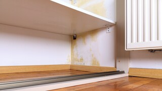Schimmel im Kleiderschrank