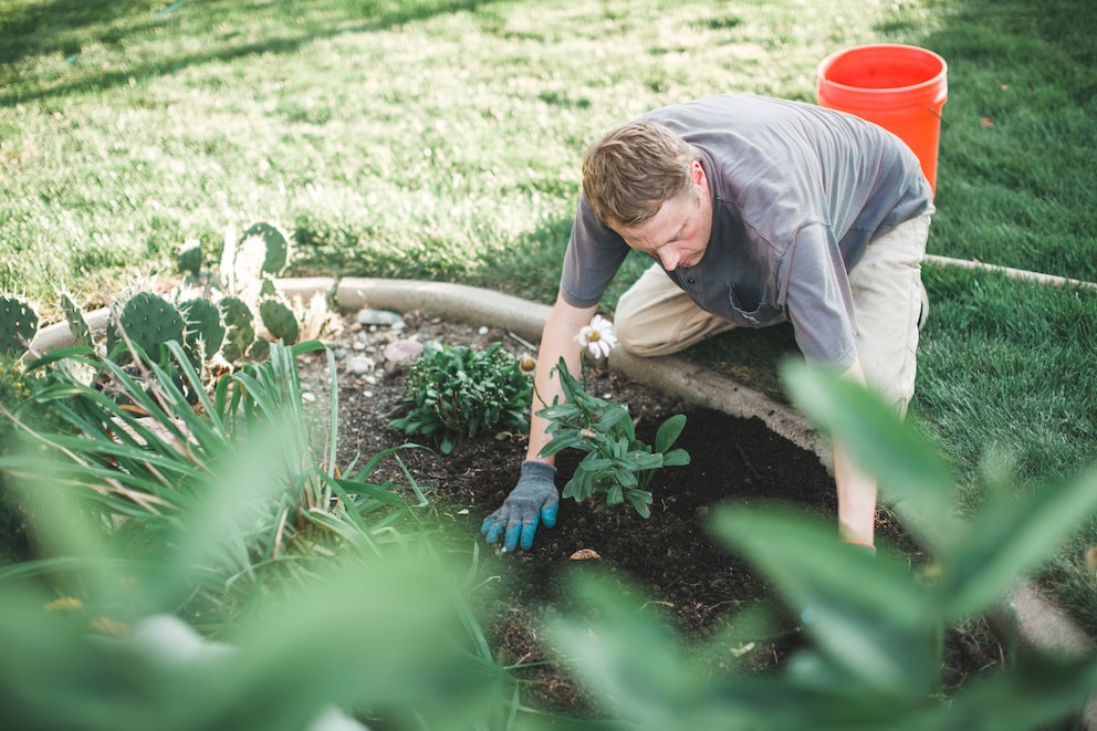 Gartenarbeiten, Die Sich Von Der Steuer Absetzen Lassen - MyHOMEBOOK