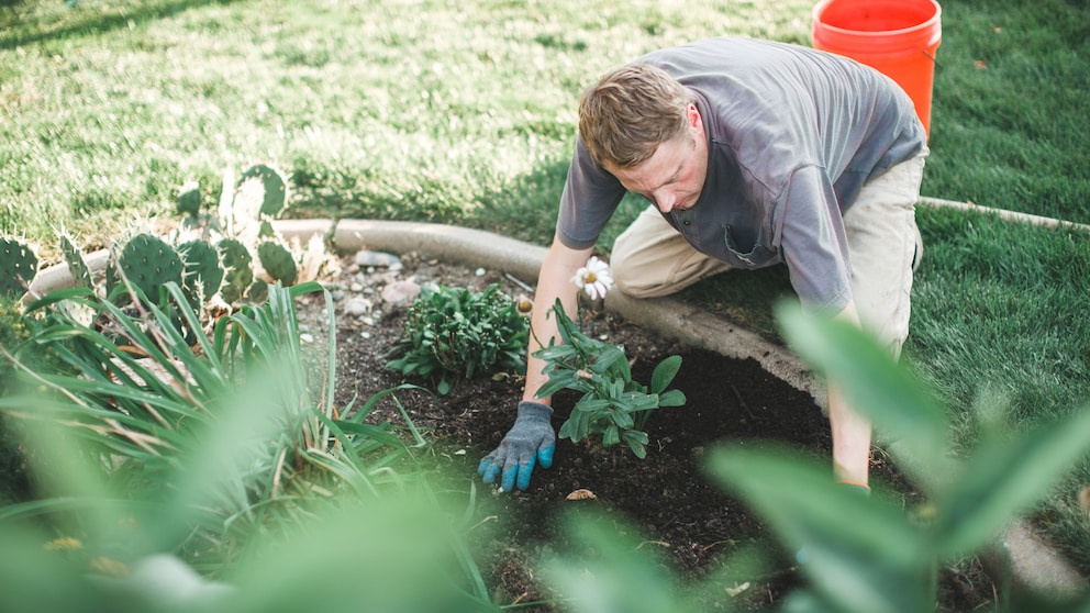 Gartenarbeiten, die man von der Steuer absetzen kann