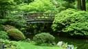 Um einen japanischen Garten anzulegen, braucht es eine genaue Planung.