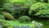 Um einen japanischen Garten anzulegen, braucht es eine genaue Planung.